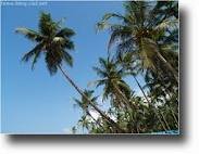 Brezvezni nasvet Črnogorcu